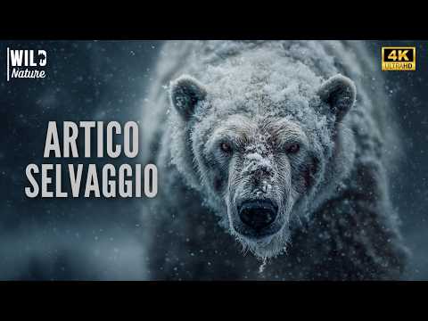ARTICO SELVAGGIO – Segreti di un Mondo Ghiacciato | Documentario Completo