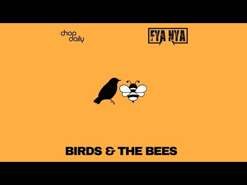 Chop Daily x Fya Nya - Birds & the bees (prod by Ransom Beatz)