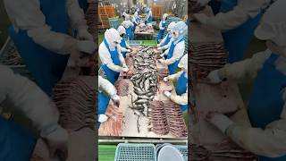 Download lagu The Process Behind 40,000 Dried Fish a Day: Inside Japan’s Largest Factory #japanesefood mp3