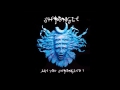Shpongle - Divine Moments Of Truth (HQ) 
