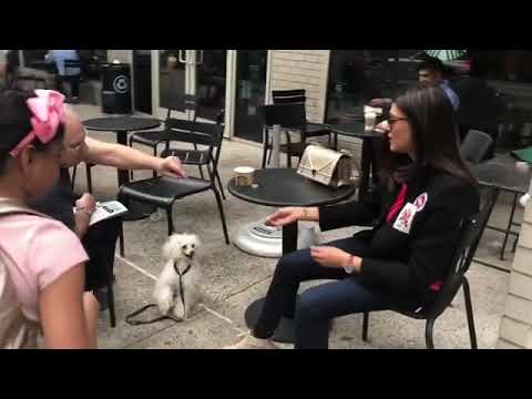 #sushmitasen and her daughter playing with pet