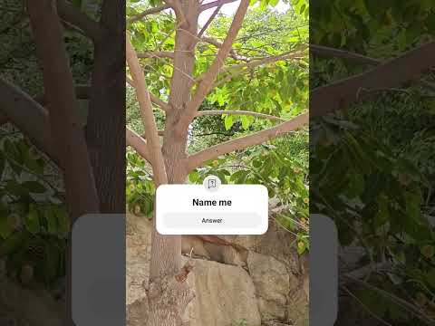 nature #youtuber #500subcribers #5000diamondsinfreefire #5000 #shortsfeed #shorts #