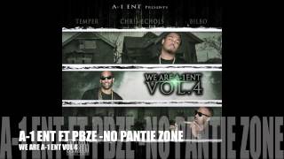 Chris Echols - No Panty Zone