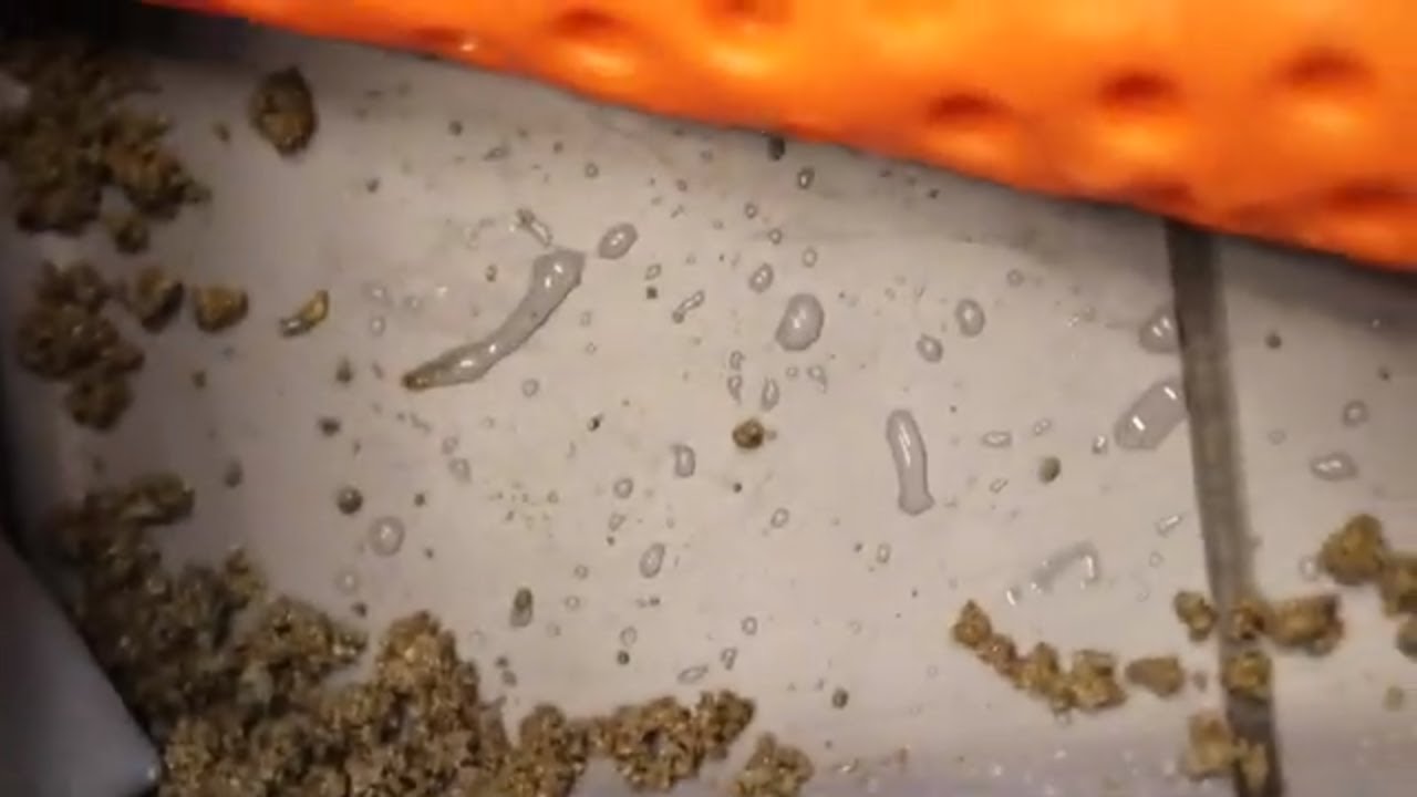 PROOF that Pre-Slope Works! - Tile Coach Episode 19