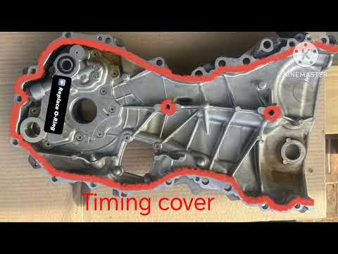 Oil Leak on Your Vehicle? Here's What to Do