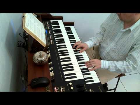 TX-5 HCC 335 - De teu cuidado terno