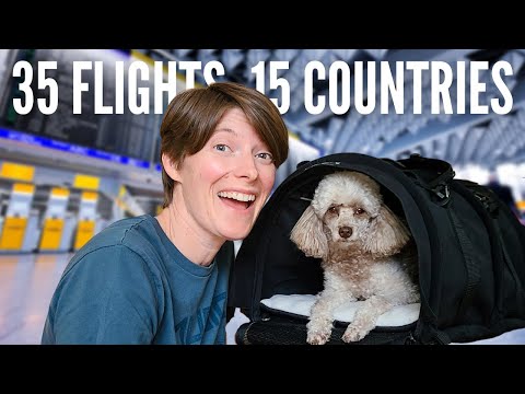 The Ultimate Guide to Traveling with Your Dog