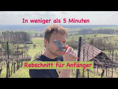 , title : 'Rebschnitt für Anfänger'