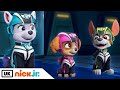 PAW Patrol | Jet to the Rescue: A Jet to the Rescue Briefing | Nick Jr. UK