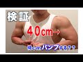 【検証】増量末期の腕周り測定!不完全燃焼。。。