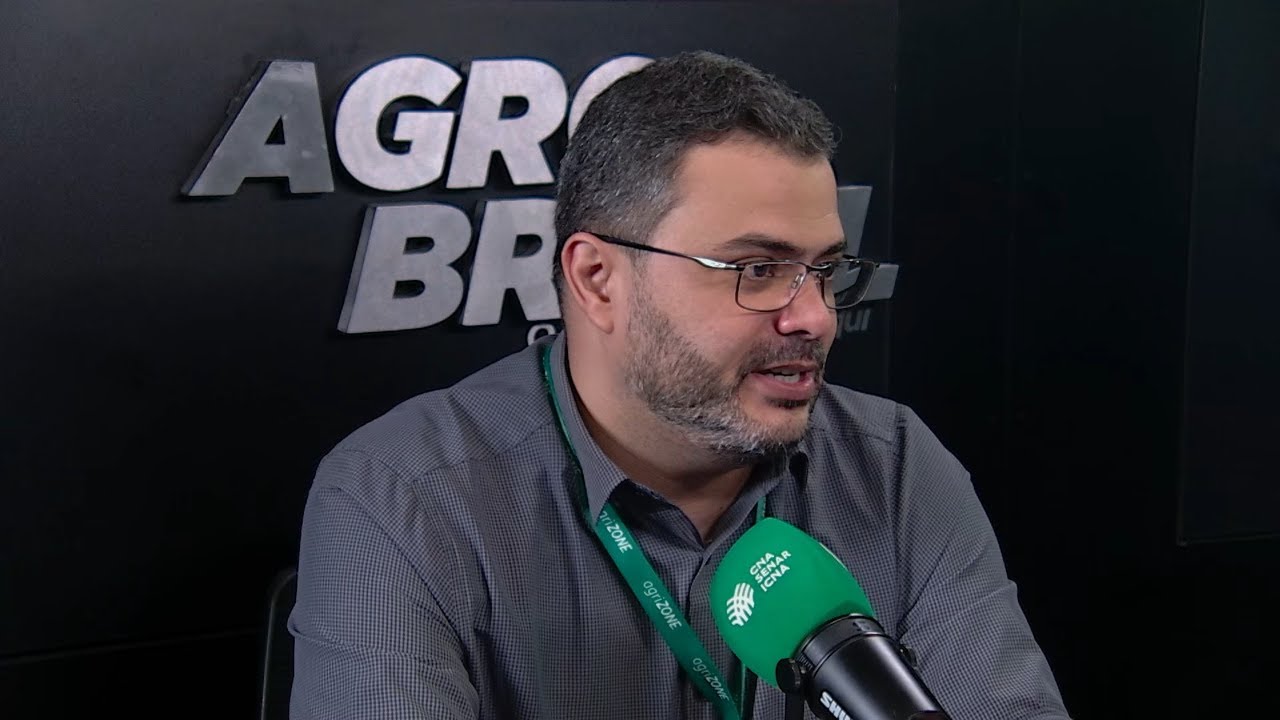 Sistemas agroflorestais impulsionam renda e conservação na Amazônia