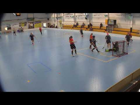 Maalikooste FBC Loisto - Runu 17.02.2018