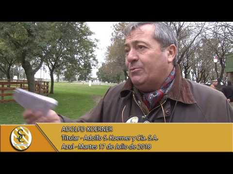 17-07-18 Nota Adolfo Koerner - Adolfo S. Koerner y Cia S.A. - Azul.