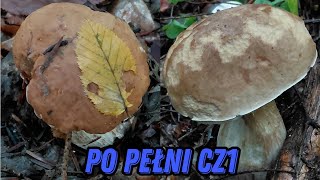 After the full moon part 1