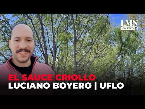 SAUCE CRIOLLO: Rescate de una especie ÚNICA | Peligro de EXTINCIÓN | Luciano BOYERO | LM Neuquén