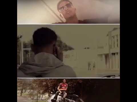 Tony Tony - Bel de plug (trailer)