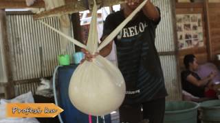 Profesi Ku Industri Tahu Paliat Segmen 1