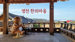 Spend the day at Yeongcheon Korean Medicine Theme Park | 영천한의마을에서 하루 즐기기