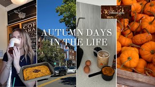FALL VLOG 🍂 decor shopping, coffees, gilmore girls rewatch!