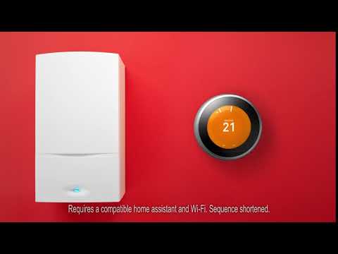 BOXT with Google