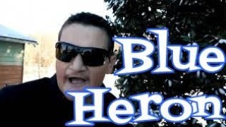 Snow at home but remembering a Blue Heron on the lake