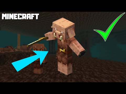 Stingray Productions - MINECRAFT | How to Make a Piglin Dance! 1.16.1