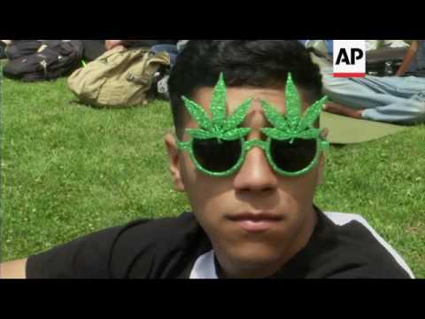 Thousands Puff for Legal Pot at SF Pot Party