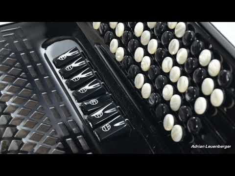 CELLULOID FREE BASS BUTTON accordions WITH CONVERTOR