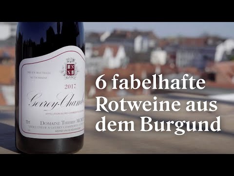 Weinprobe | 6 fabelhafte Rotweine aus dem Burgund in der Online Weinverkostung