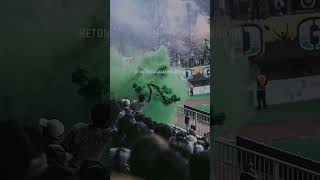 Download lagu 10 tahun di barisan💚 #shorts #videoshort #psssleman #viralvideo #viral #bcsxpss mp3