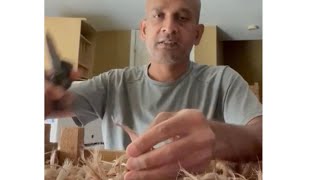 Indian farmer is growing saffron indoors in the USA