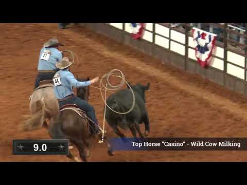 2024 FWSSR Ranch Rodeo Top Horse - Casino