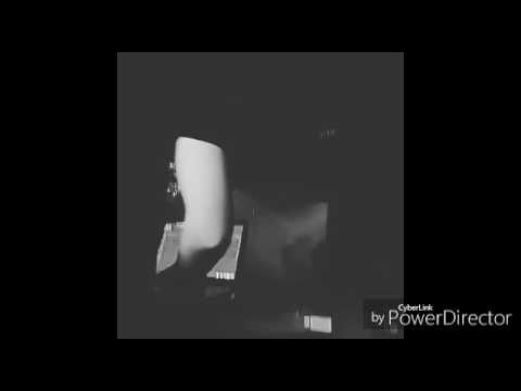 Nekrotekk//Traum wird war