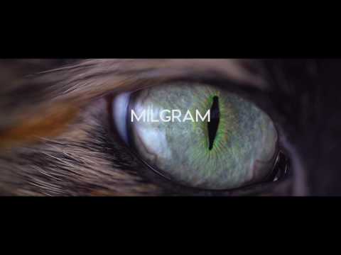 Milgram - Nomad(preview)