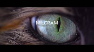Milgram - Nomad(preview)