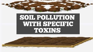 SOIL POLLUTION/CONTAMINATION • EASY CONCEPTS #environmentalscience #ugcnet #ntanet #environment