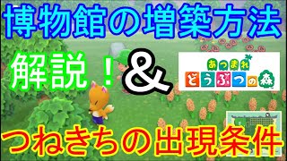 あつまれどうぶつの森　博物館改築方法＆つねきち出現条件