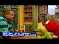 Sesame Street Helps Children In Cook County Drug Court