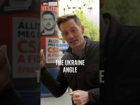 Hungary election: What you need to know