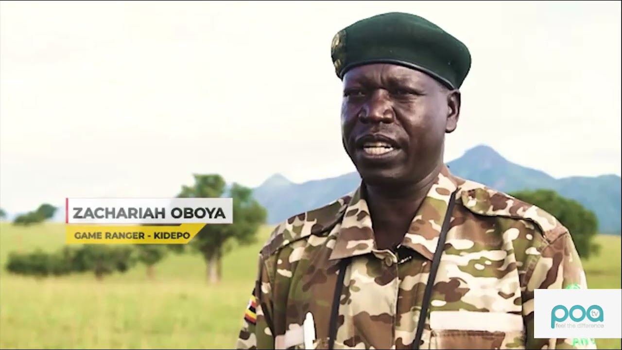 #ExploreUganda, the Pearl of Africa, an endowed tourism destination. We take you to Kidepo!