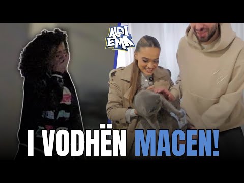 I vodhëm macen, Keisiana shpërtheu në lot. | ALDI EMA E7 S2