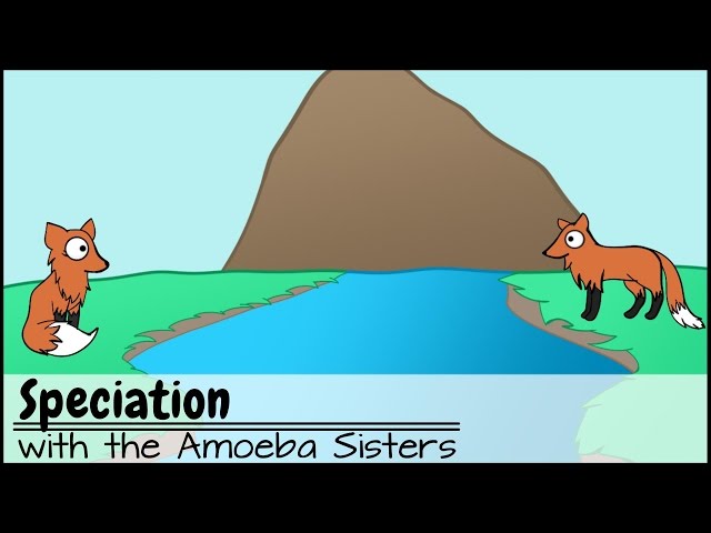 Video Pronunciation of allopatric speciation in English Video Pronunciation of allopatric speciation in English