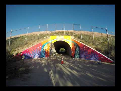 Build Bridges Not Walls