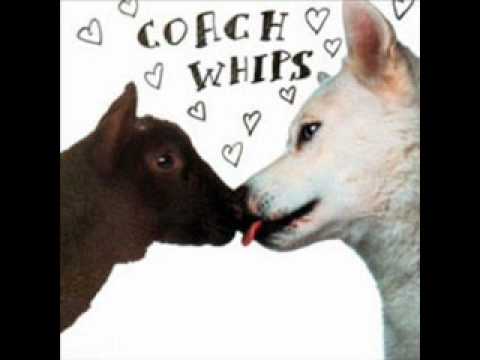 Coachwhips - you gonna get it