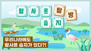 [교육] 우리나라에도 람사르 습지가 있다? 람사르 습지 탐방