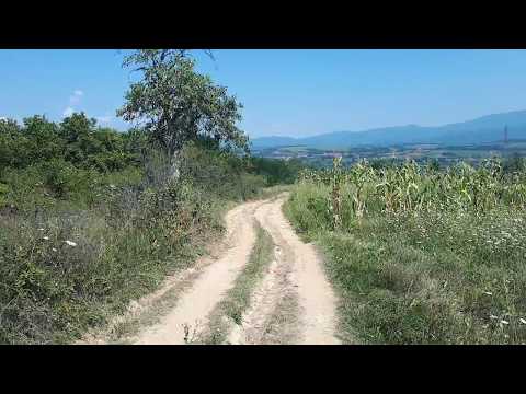 Bucosnita Caras Severin