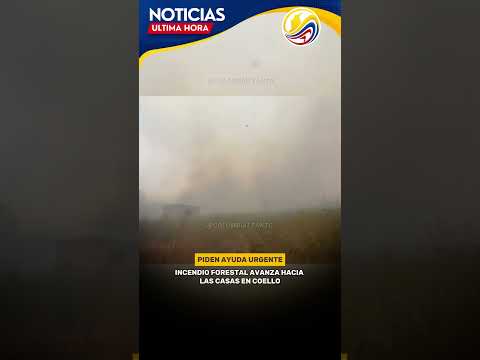 Incendi0 forestal se reactiva en Chagualá y amen4za viviendas en Coello, Tolima.