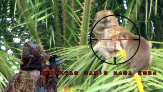Download lagu Sadis‼️Tembak jitu raja kera yang meresahkan//Berburu kera liar #part 02 mp3