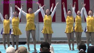 さくらまつり　チアリーダーステージ