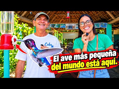 🇨🇺 Visité la Casa del Zunzuncito en la Ciénaga de Zapata ✨ | No creerás todo lo que vi 💫😍